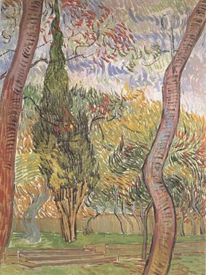 Vincent Van Gogh The Garden of Saint-Paul Hospital (nn04)